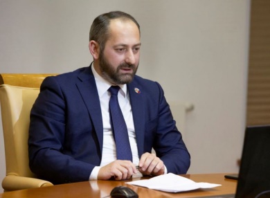Давид Цецхладзе избран президентом Грузинской ФНКА в России