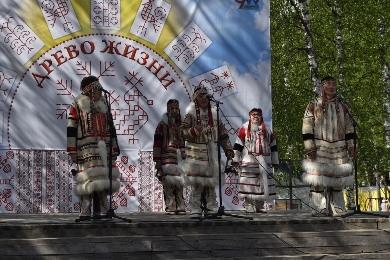 Вепсы из разных регионов приедут на праздник "Древо жизни" в Ленинградской области